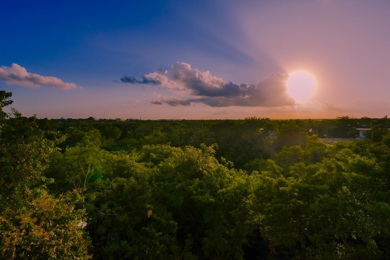 Condo Casa Del Arbol بلايا ديل كارمن المظهر الخارجي الصورة