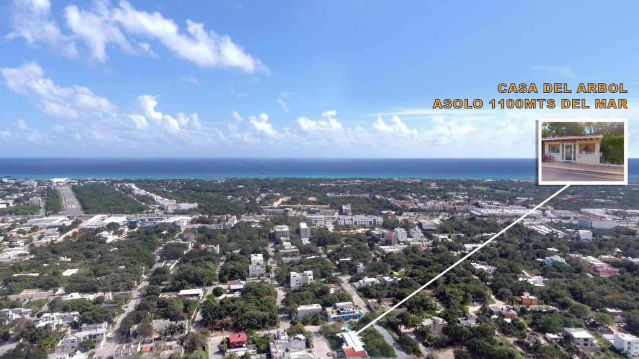 Condo Casa Del Arbol بلايا ديل كارمن المظهر الخارجي الصورة